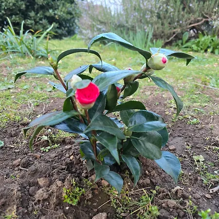 דירה Nadalina קראליביצה