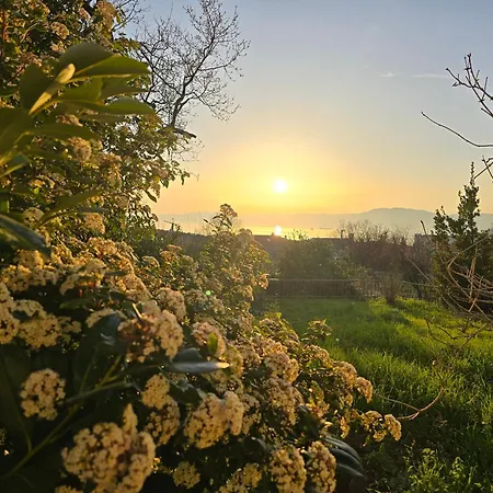 Nadalina קראליביצה