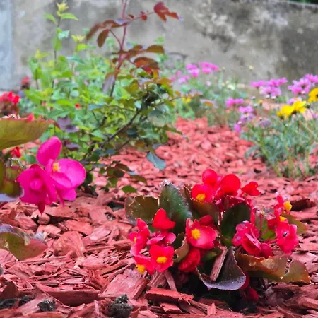 Nadalina דירה קראליביצה