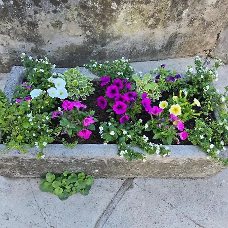 Apartamento Nadalina Kraljevica