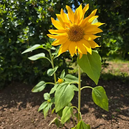 Nadalina Apartamento Kraljevica