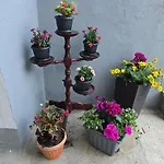 Apartament Nadalina