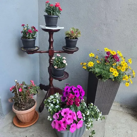 Nadalina Apartment Kraljevica