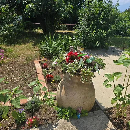 Nadalina * Kraljevica