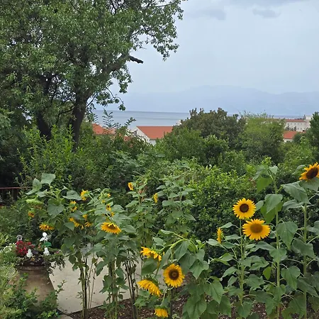 Apartament Nadalina