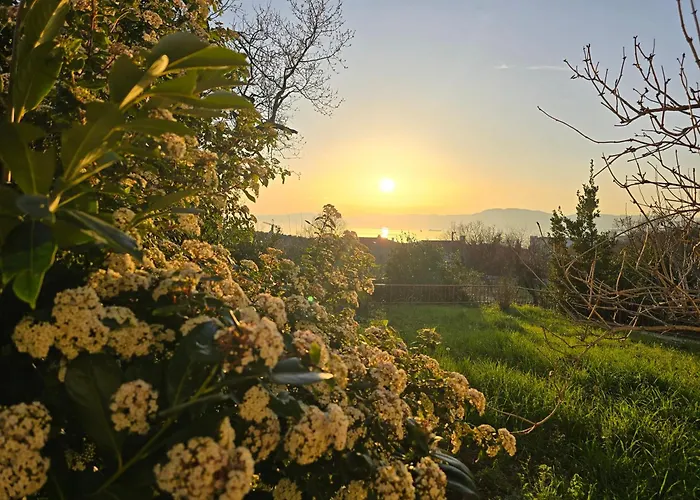 Nadalina 클랄제비카