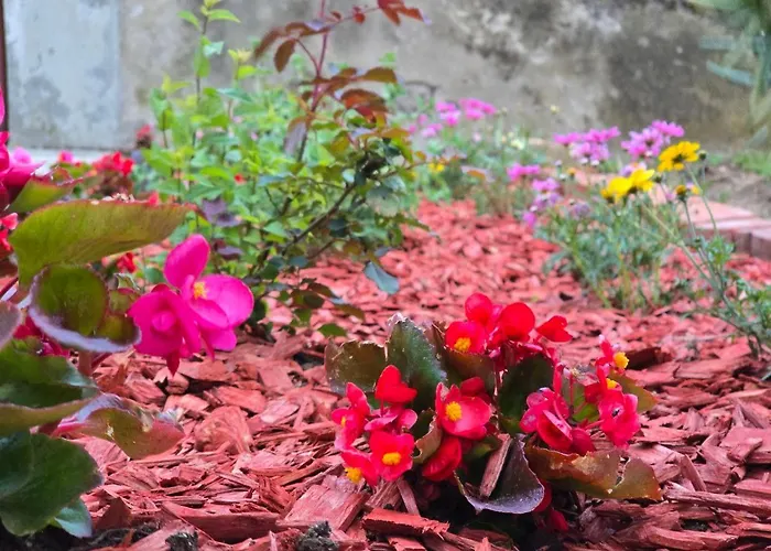 Nadalina 아파트 클랄제비카