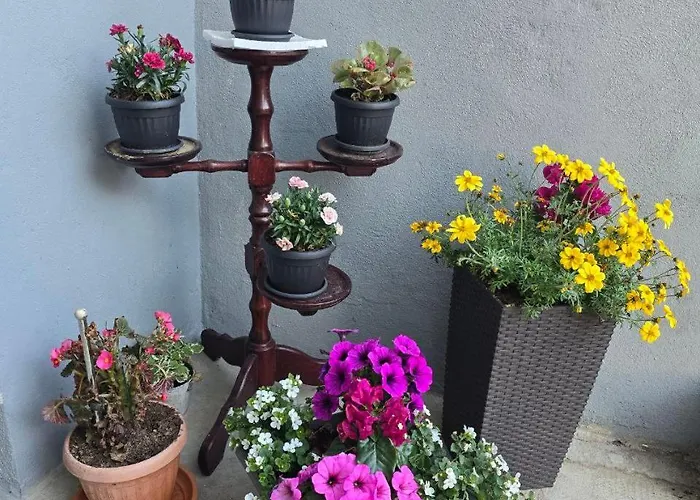 Nadalina 아파트 클랄제비카