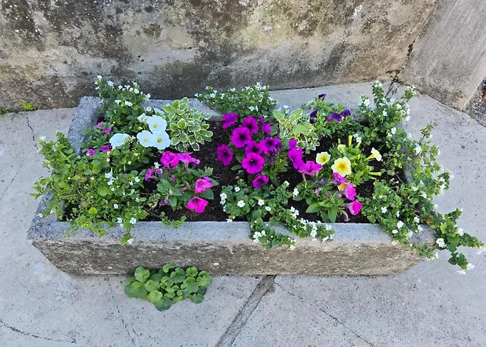 아파트 Nadalina 클랄제비카