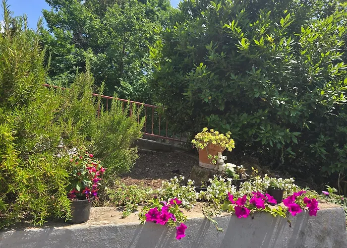 아파트 Nadalina 클랄제비카