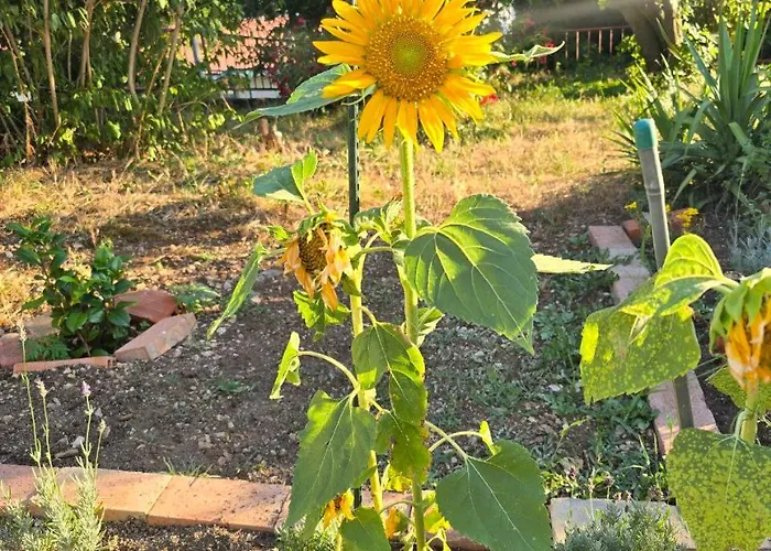 아파트 Nadalina 클랄제비카