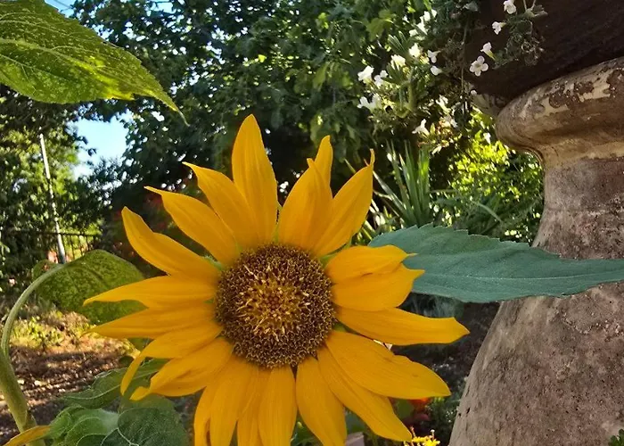 Nadalina 아파트 *